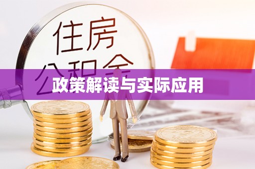 新华政策解读与实际应用
