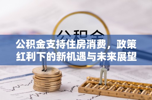 新华公积金支持住房消费，政策红利下的新机遇与未来展望