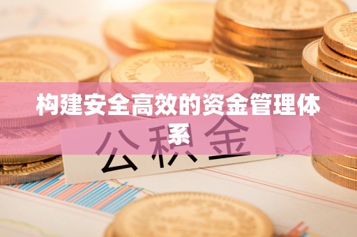 新华构建安全高效的资金管理体系