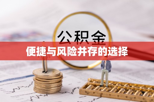 新华便捷与风险并存的选择