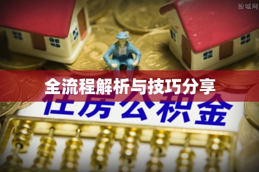 新华全流程解析与技巧分享